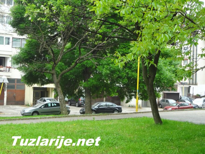 Tuzlarije