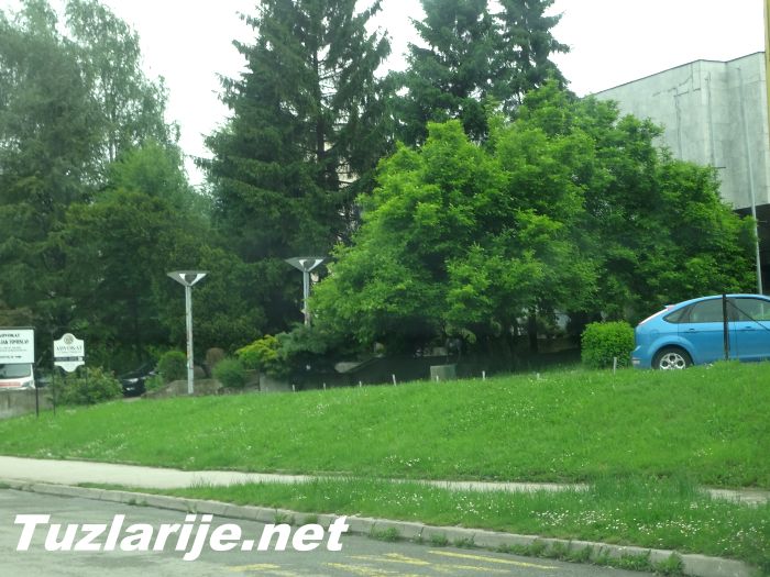 Tuzlarije