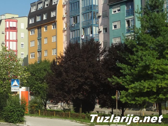 Tuzlarije