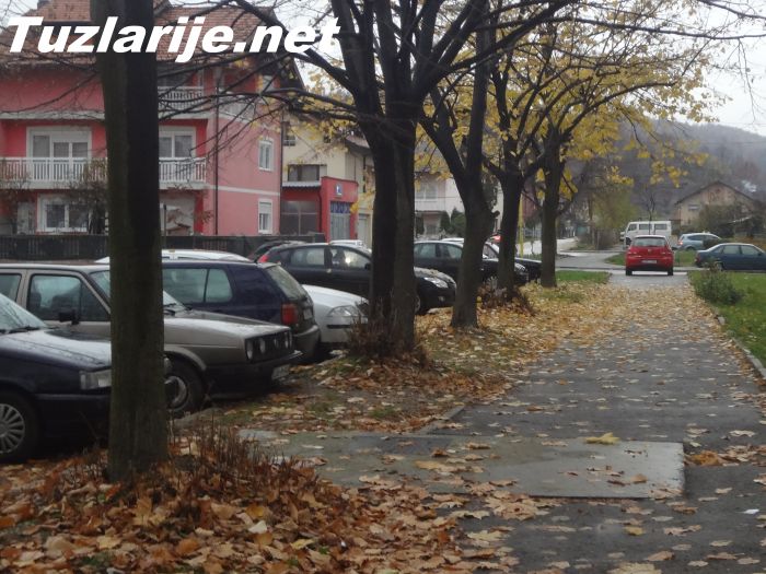 Tuzlarije