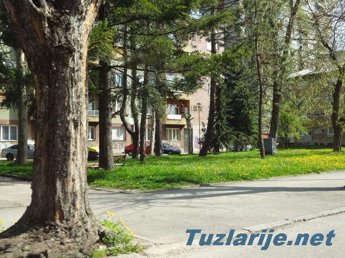 Tuzlarije