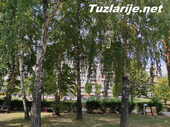 Tuzlarije