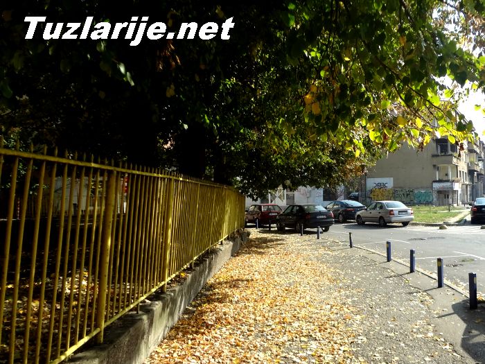Tuzlarije