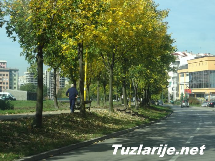 Tuzlarije