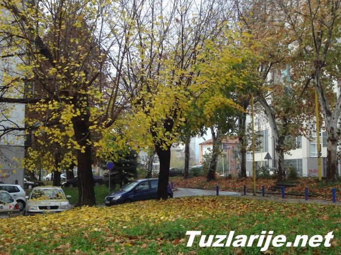 Tuzlarije