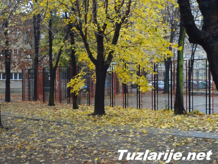 Tuzlarije