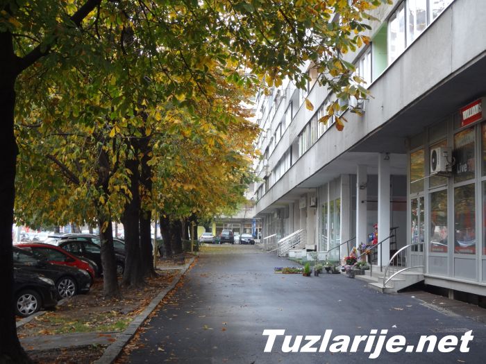 Tuzlarije