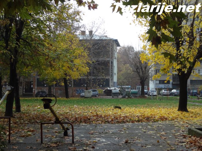 Tuzlarije