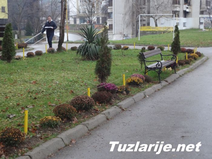 Tuzlarije