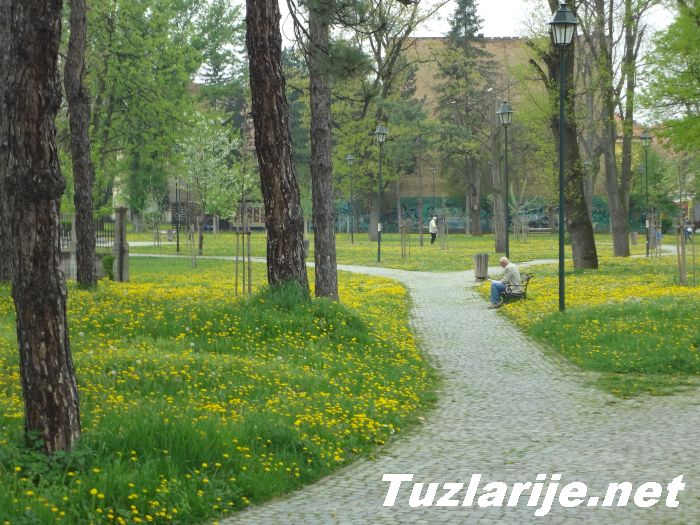 Tuzlarije