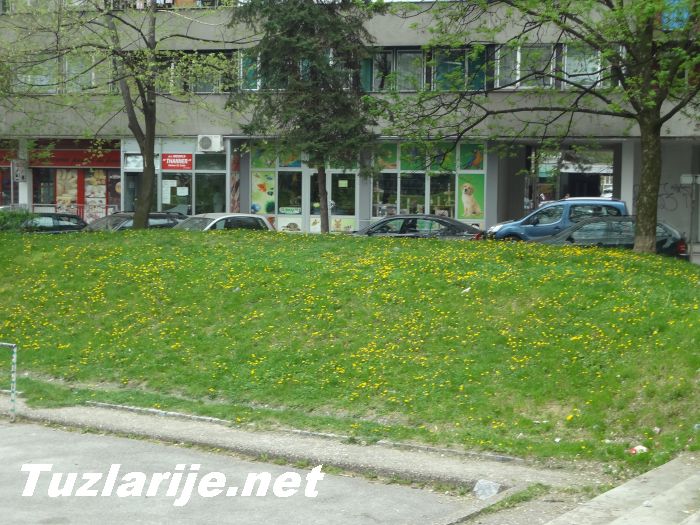 Tuzlarije