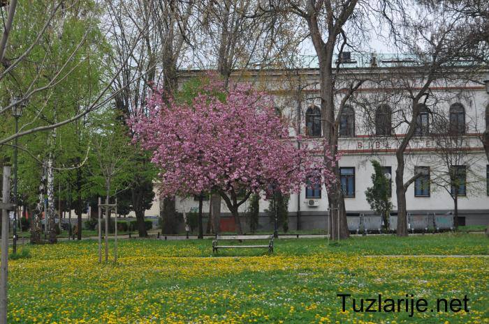 Tuzlarije