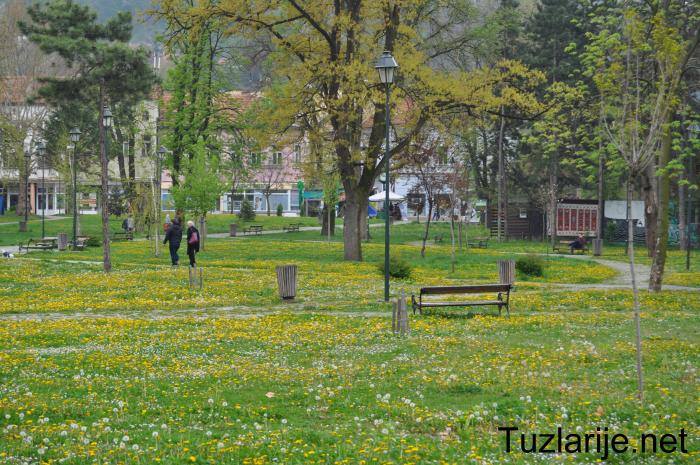 Tuzlarije