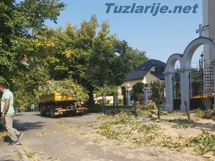 Tuzlarije