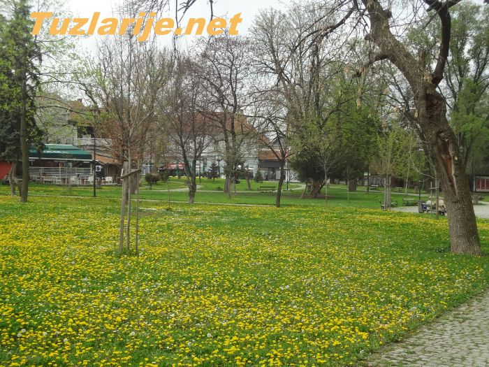 Tuzlarije