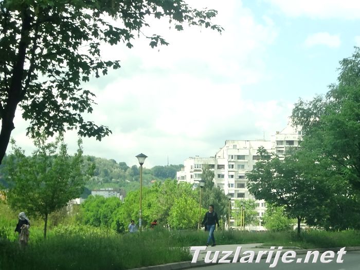 Tuzlarije