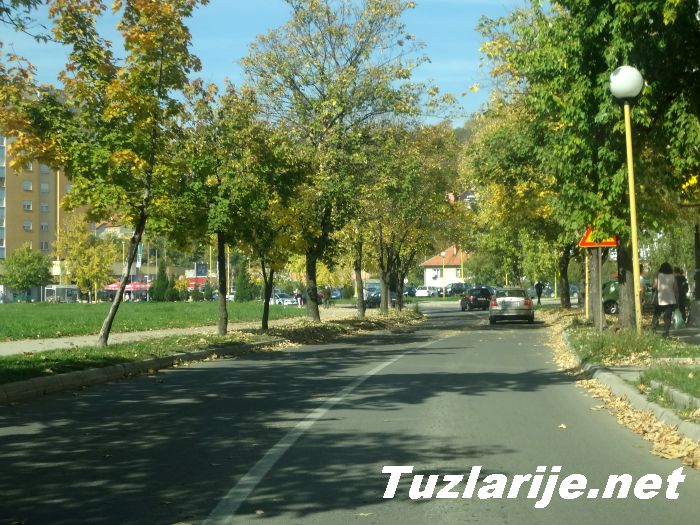 Tuzlarije
