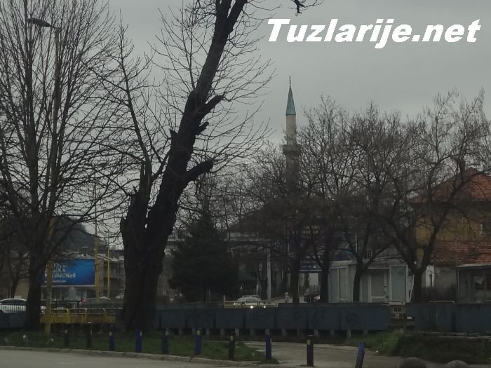 Tuzlarije
