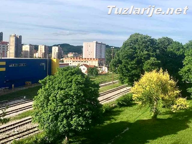 Tuzlarije