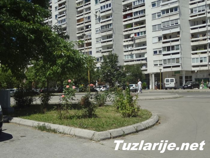 Tuzlarije