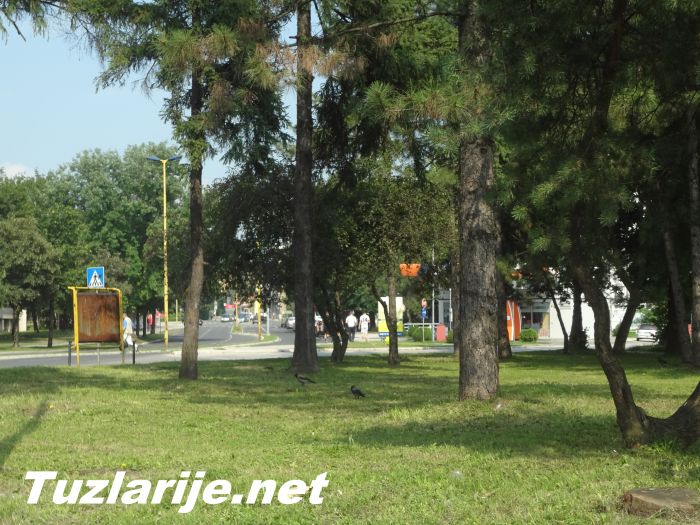 Tuzlarije