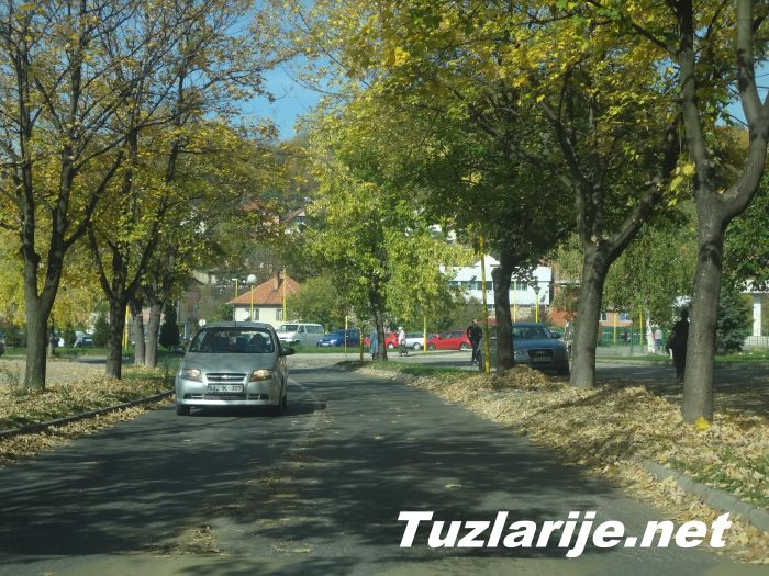 Tuzlarije