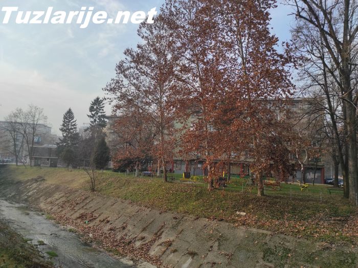 Tuzlarije