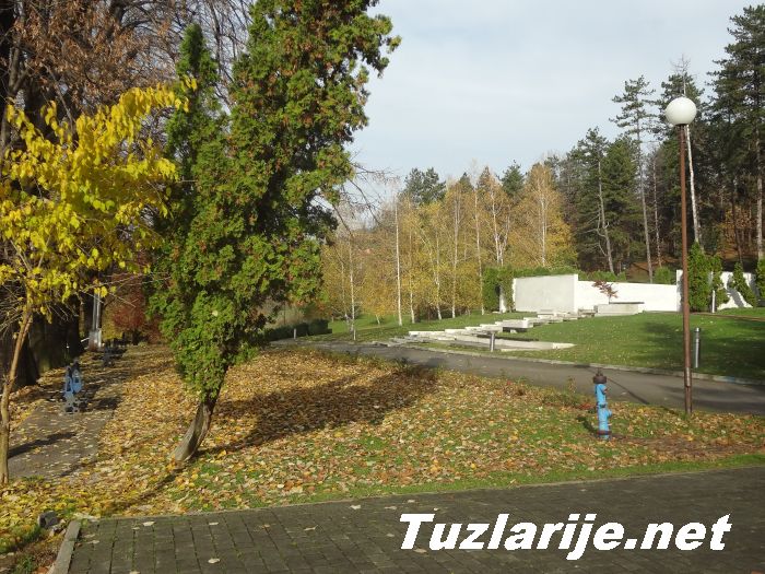 Tuzlarije