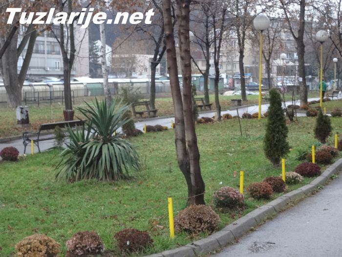 Tuzlarije