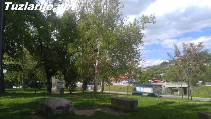 Tuzlarije