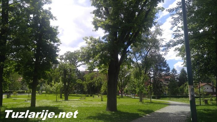 Tuzlarije