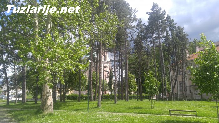 Tuzlarije