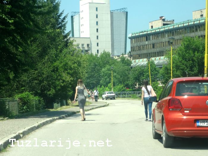 Tuzlarije