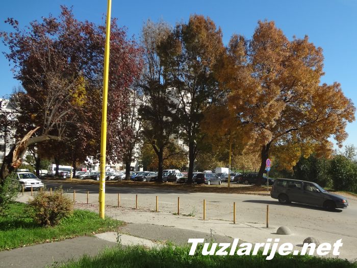 Tuzlarije