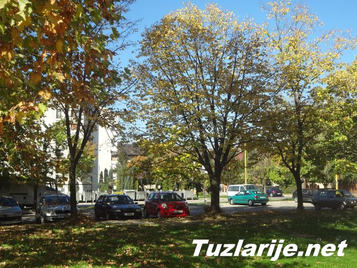 Tuzlarije