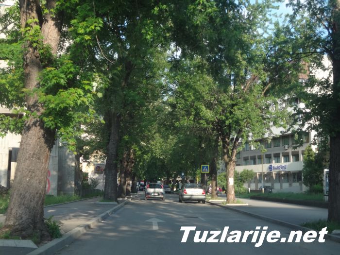 Tuzlarije