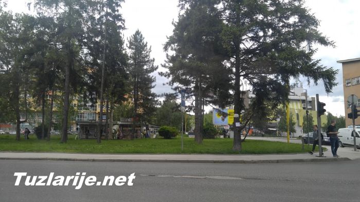 Tuzlarije