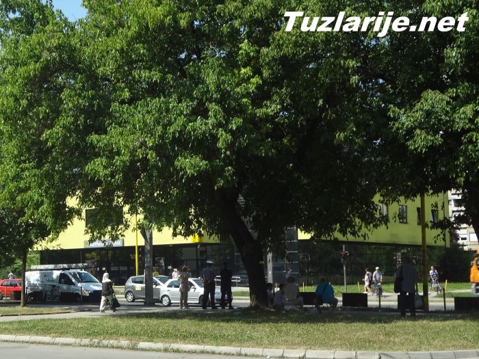 Tuzlarije