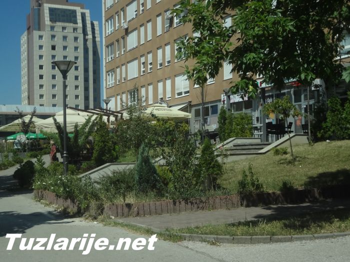 Tuzlarije
