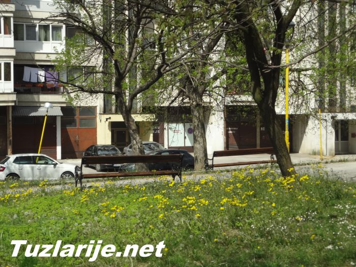 Tuzlarije