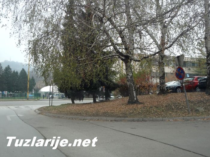 Tuzlarije