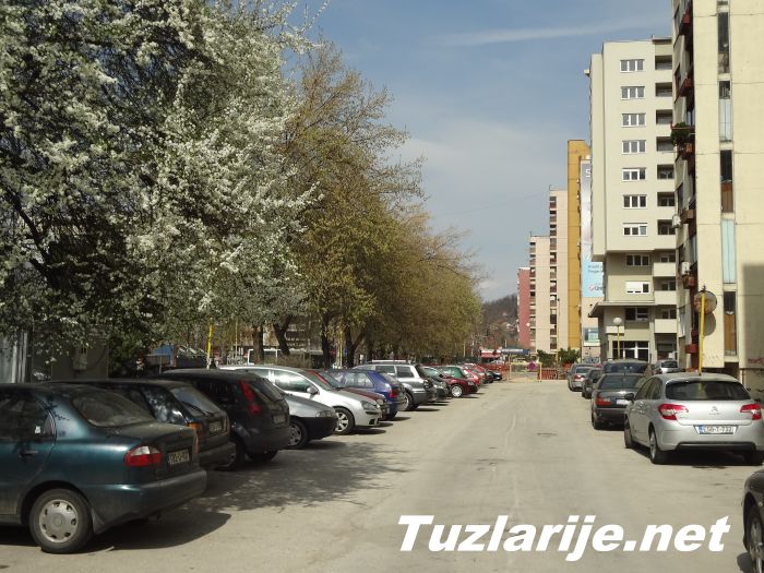 Tuzlarije