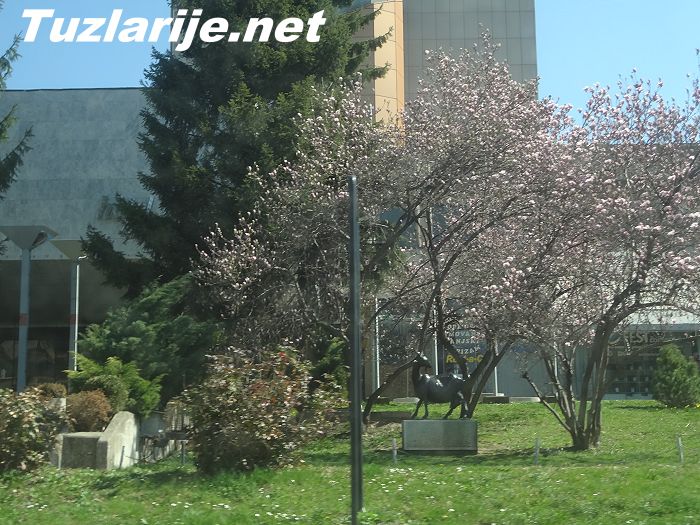 Tuzlarije
