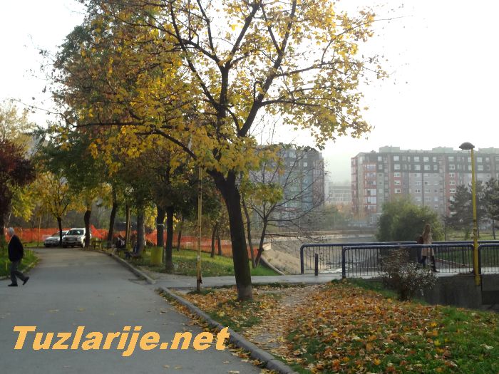 Tuzlarije