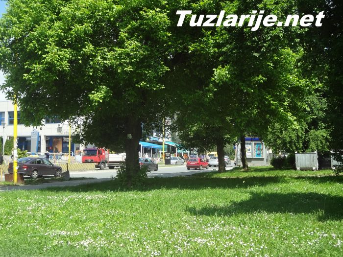 Tuzlarije