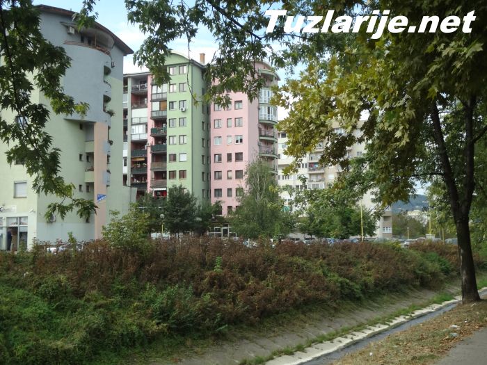 Tuzlarije