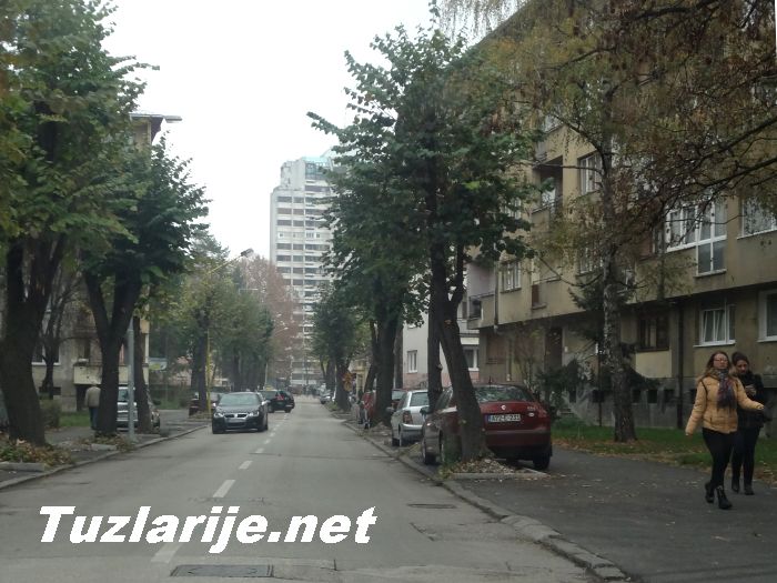 Tuzlarije