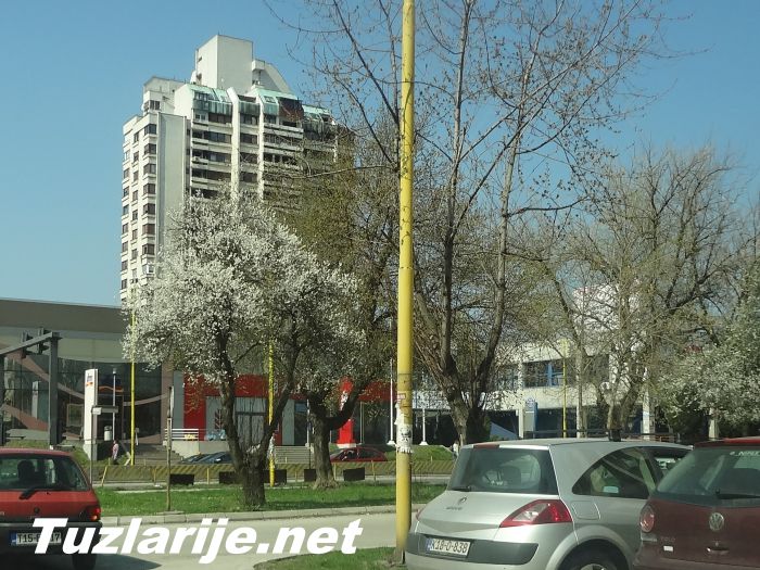 Tuzlarije