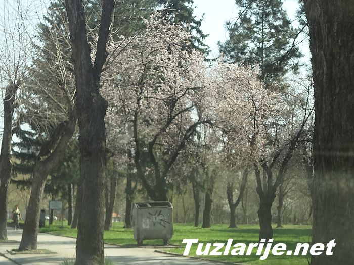 Tuzlarije