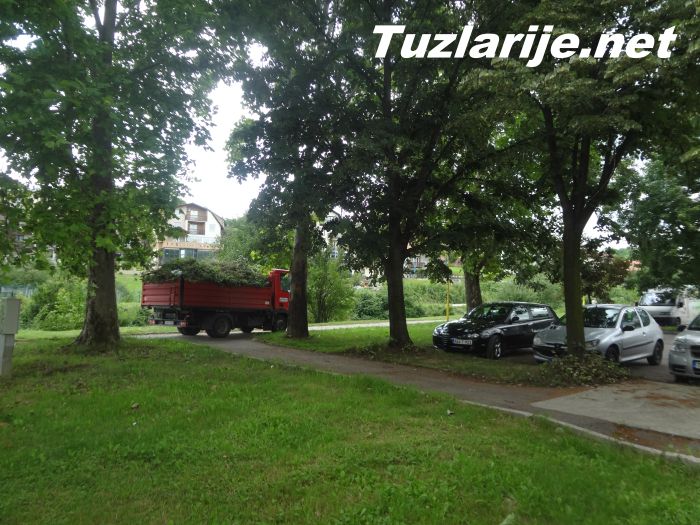 Tuzlarije